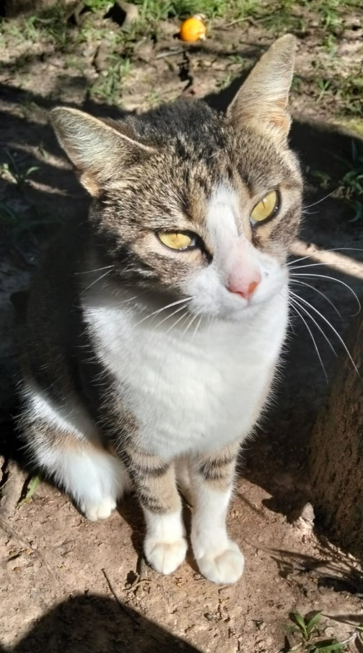Minnie